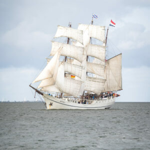 Fotoposter Artemis Sailing-Cup